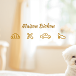 Guide complet sur la méthode de consolidation des sols par parois clouées